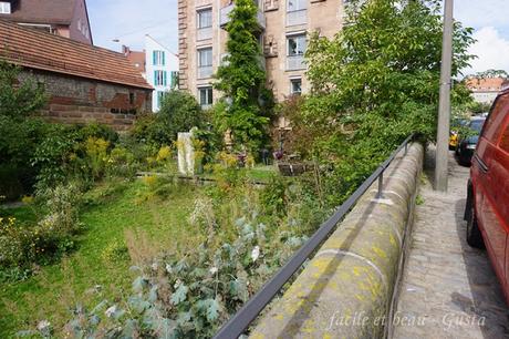 Natur im Stadtgarten