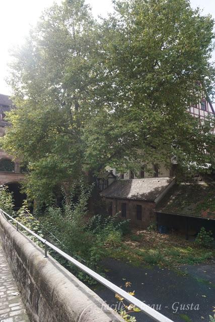 Natur im Stadtgarten