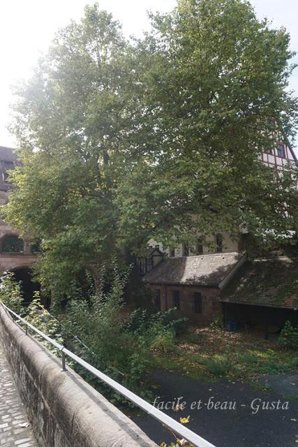 Natur im Stadtgarten