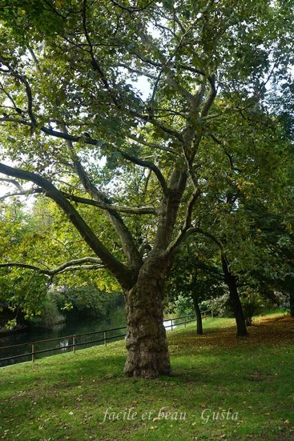 Natur im Stadtgarten