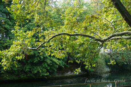 Natur im Stadtgarten