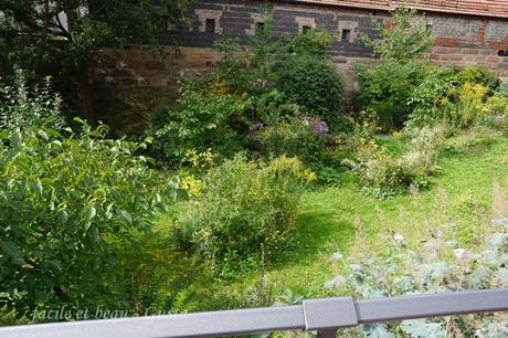 Natur im Stadtgarten