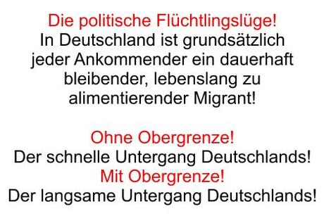 Ohne Obergrenze schneller Untergang, mit Obergrenze langsamer Untergang. Kirche und Prominente fördern die Migration, Sozialstaat ade