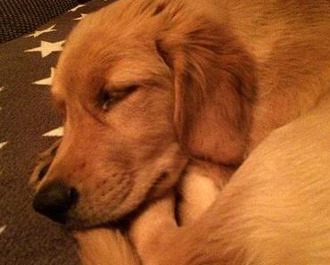 Unser Wochenende in Bildern – 7./8. Oktober