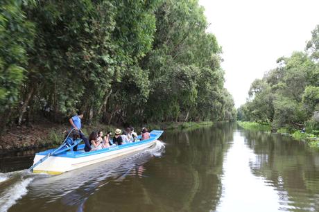 Der Tra Su Mangrove Wald in Mekong Delta