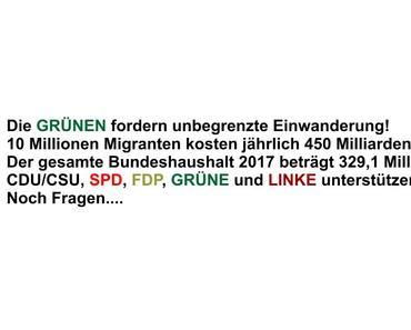 Die Horrorvorstellung einer unbegrenzten Einwanderung: 10 Millionen Migranten kosten ca. 450 Milliarden jährlich, der gesamte Bundeshaushalt 2017 beträgt 329,1Milliarden Euro