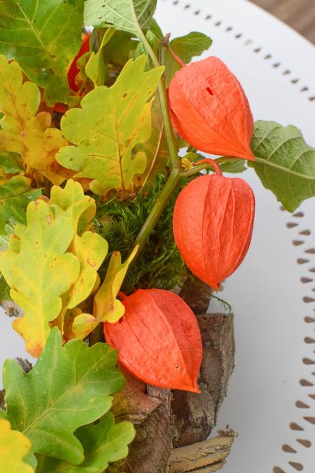 3 Ideen für DIY Kränze für den Herbst: selbermachen Holzkranz Naturdeko Lampionblume Moos Eichenlaub