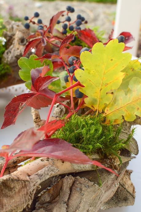 3 Ideen für DIY Kränze für den Herbst: selbermachen Holzkranz Naturdeko Lampionblume Moos Astern Eichenlaub