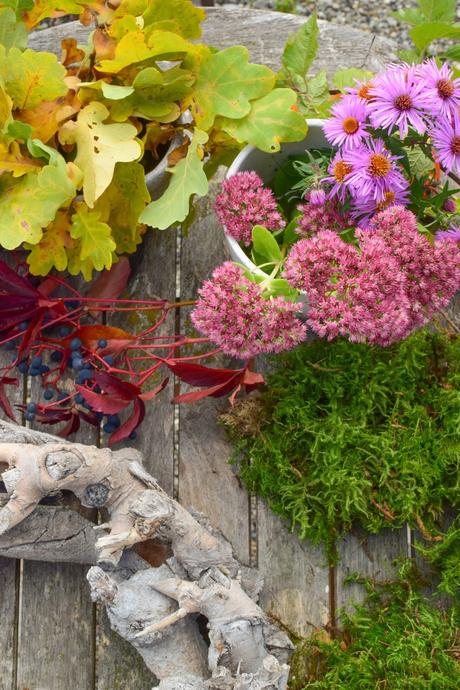 3 Ideen für DIY Kränze für den Herbst: selbermachen Holzkranz Naturdeko Lampionblume Moos Astern Eichenlaub