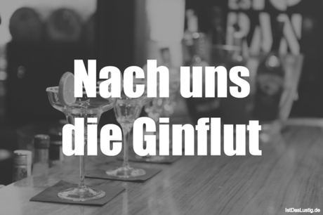 Lustiger BilderSpruch - Nach uns die Ginflut