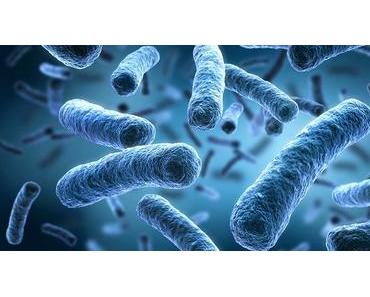 Vorsicht im Urlaubsparadies Mallorca!