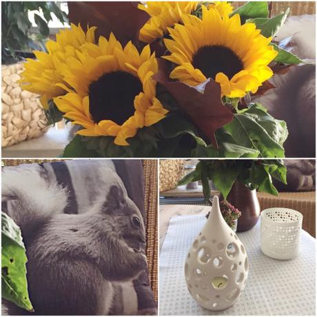 Friday-Flowerday – oder – Zeit für Sonnenblumen