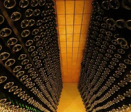 Die Flaschen leeren, um die Rentenkasse zu füllen: Weinprobe in der Cantina Pucciarella