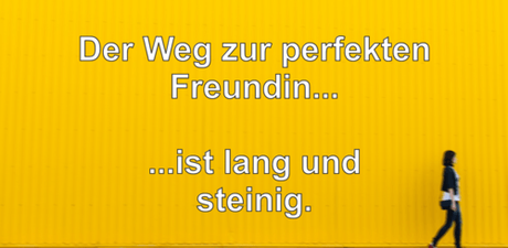 Story: Der Weg zur perfekten Freundin