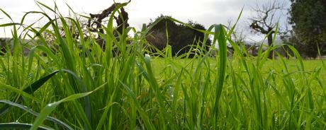 Kalenderblatt | 22.10.2017