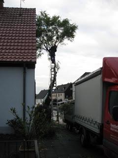 Am Morgen des 21.10.2017...