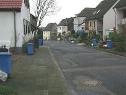 Der Baum und der Wochenstart