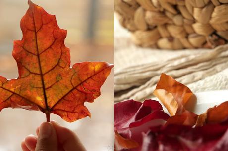 Basteln mit Kindern - Herbstblätter konservieren