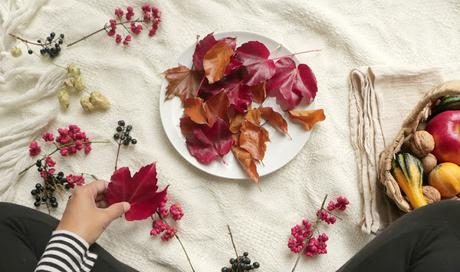 Basteln mit Kindern - Herbstblätter konservieren