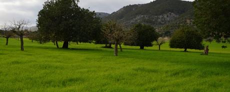 Kalenderblatt | 23.10.2017