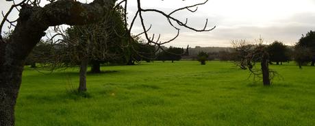 Kalenderblatt | 24.10.2017