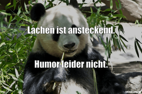 Lustiger BilderSpruch - Lachen ist ansteckend.   Humor leider nicht.