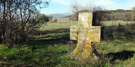Bulgarien: Wald- und Wiesenkreuzfahrt