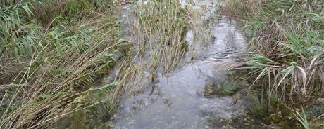 Kalenderblatt | 26.10.2017