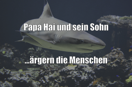 Story: Papa Hai und sein Sohn