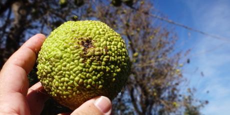 Bulgarien: urlauben am Schwarzen Meer.