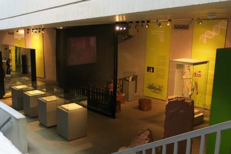 Ausflugstipp zu Halloween: Das Neanderthal Museum in Mettmann