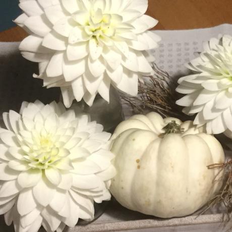 Friday-Flowerday – oder – Weißer Herbst