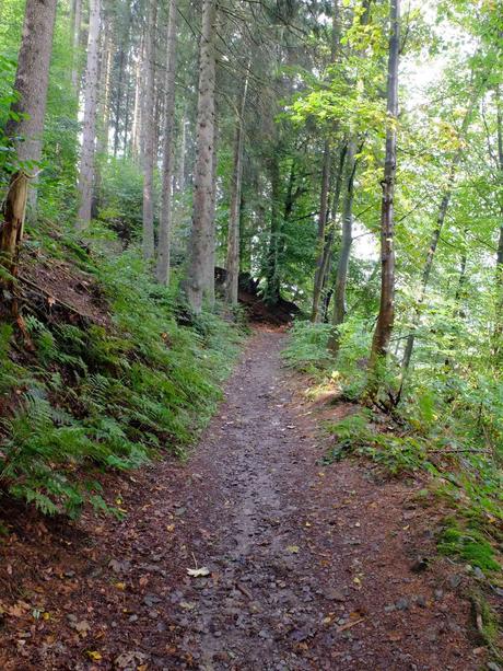 Um die Müngstener Brücke - Der Anstieg