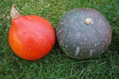 Die Gärtnerei “ Schanbacher „