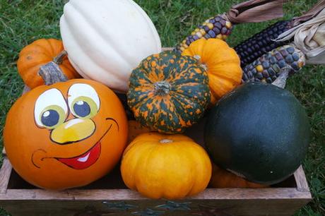 Die Gärtnerei “ Schanbacher „