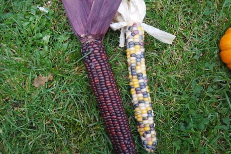 Die Gärtnerei “ Schanbacher „