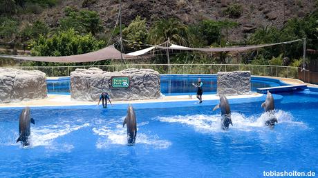 Highlight: Delfin-Show im Palmitos Park auf Gran Canaria