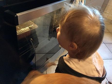 Unser Wochenende in Bildern – 28./29. Oktober