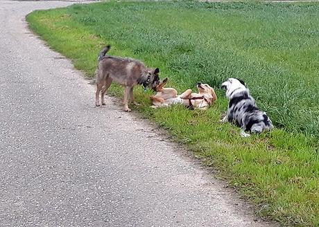 Unser Wochenende in Bildern – 28./29. Oktober