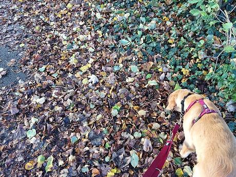 Unser Wochenende in Bildern – 28./29. Oktober