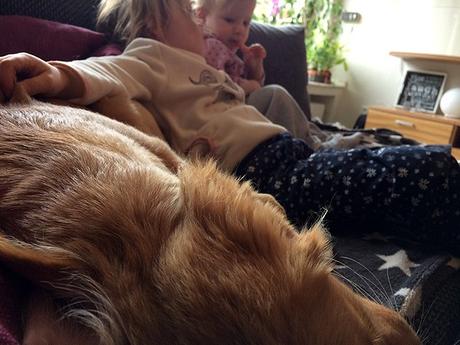 Unser Wochenende in Bildern – 28./29. Oktober