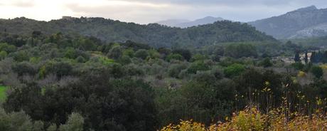 Kalenderblatt | 31.10.2017