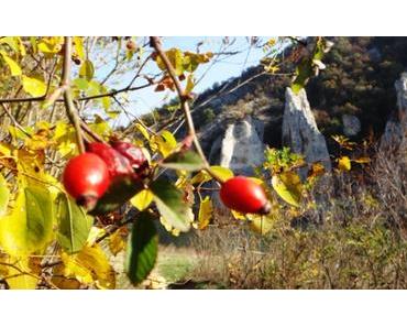 Bulgarien: lustige Berge und steinerne Elefanten