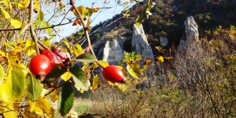 Bulgarien: lustige Berge und steinerne Elefanten