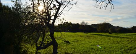 Kalenderblatt | 05.11.2017