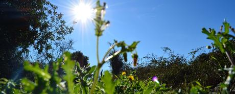 Kalenderblatt | 09.11.2017