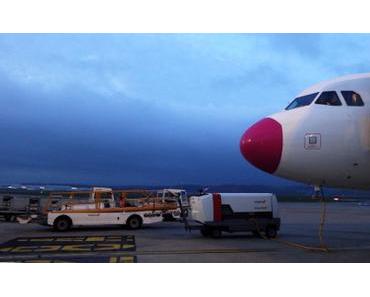 Bulgarien: das Walross fliegt heim