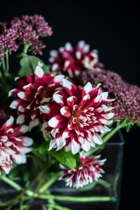 Blumendekoration: gestreifte Dahlien und Fetthenne by fim.works Lifestyle Blog