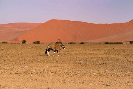 Sossusvlei – Zwei perfekte Tage in den Dünen Namibias