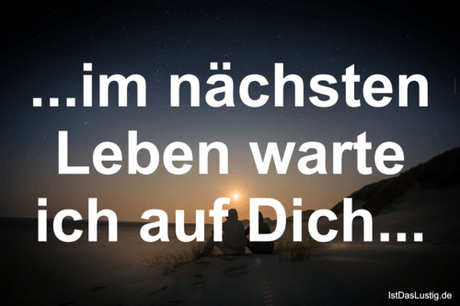 Lustiger BilderSpruch - ...im nächsten Leben warte ich auf Dich...